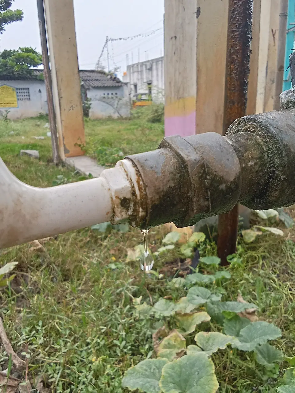 Plumbing leak — dripping water from a fixture